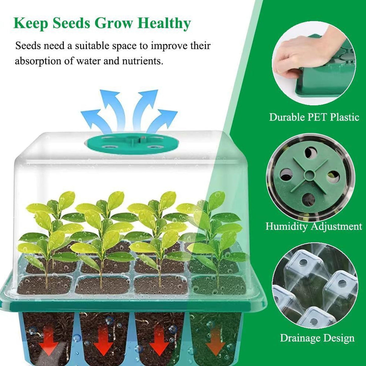 2 Pack Seed Starter Tray with Grow Light, 80 Cells Plant Seed Starter Kit with Timing Controller Adjustable Brightness/Humidity Dome,Indoor Gardening, Greenhouse